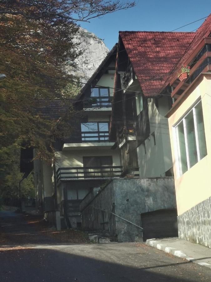 Apartament Kalinderu K2 بوستين المظهر الخارجي الصورة
