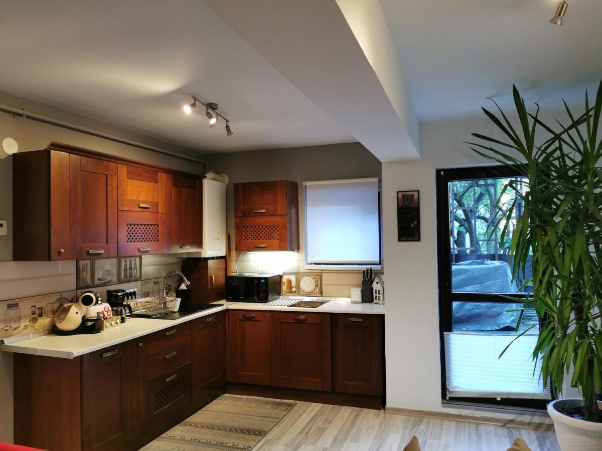 Apartament Kalinderu K2 بوستين المظهر الخارجي الصورة