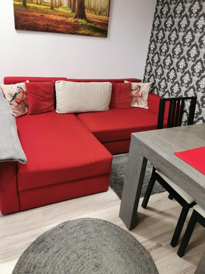 Apartament Kalinderu K2 بوستين المظهر الخارجي الصورة