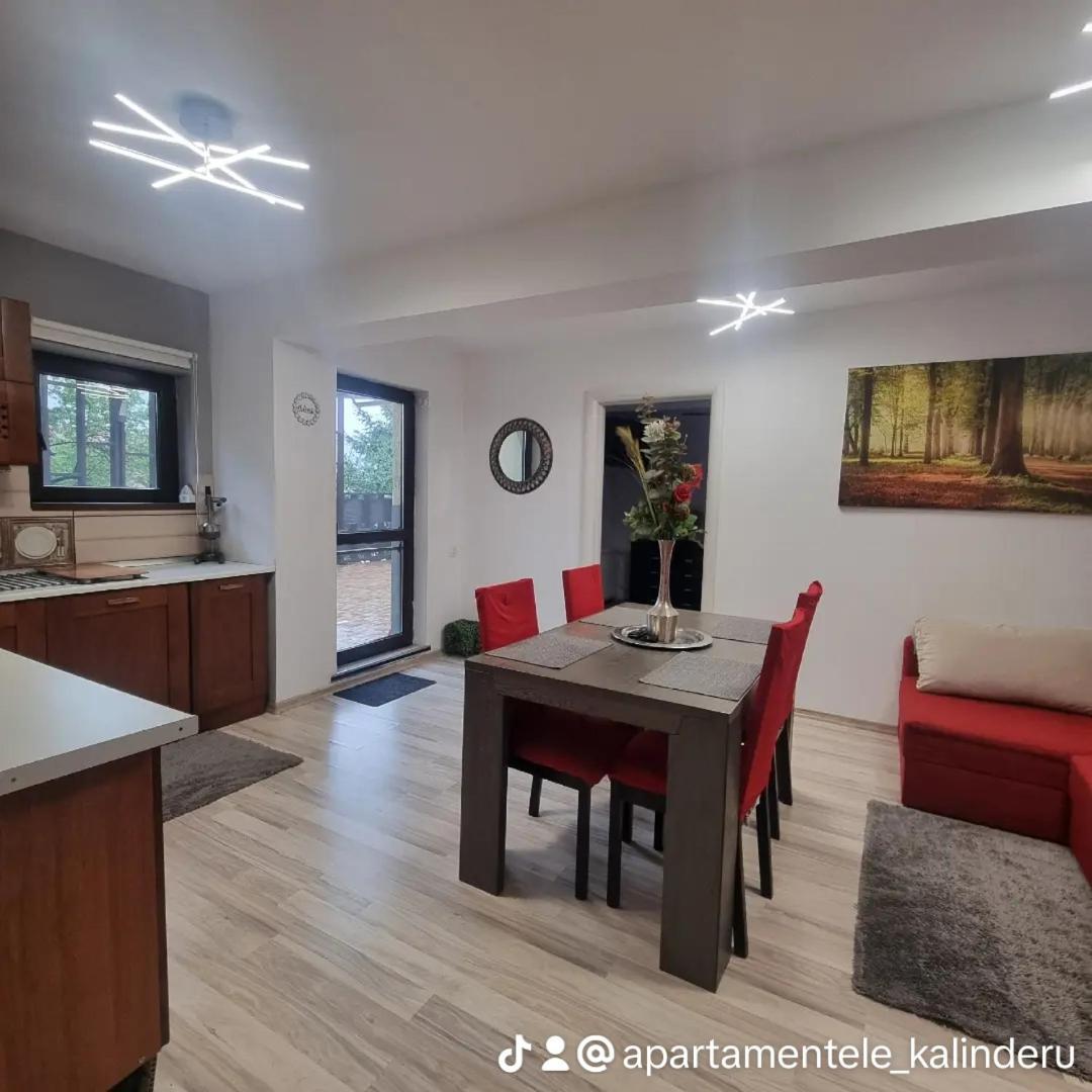 Apartament Kalinderu K2 بوستين المظهر الخارجي الصورة