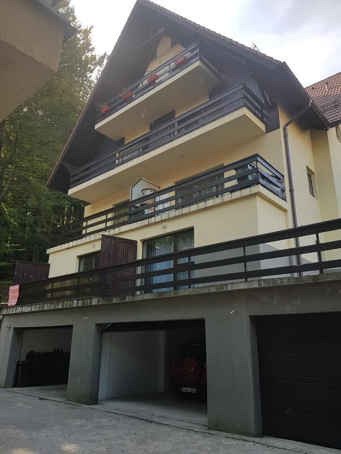 Apartament Kalinderu K2 بوستين المظهر الخارجي الصورة