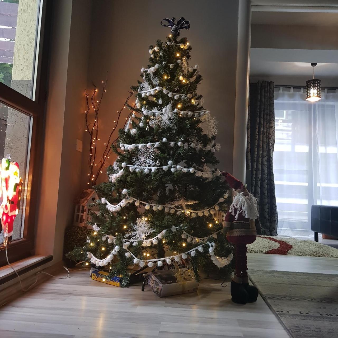 Apartament Kalinderu K2 بوستين المظهر الخارجي الصورة